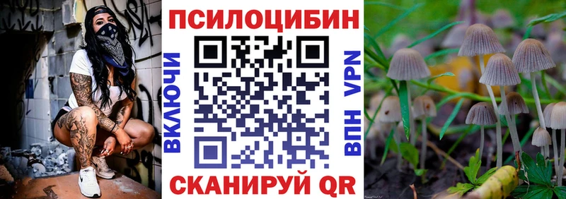где купить наркоту  Перевоз  Псилоцибиновые грибы MAGIC MUSHROOMS 